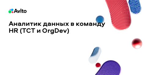 Вакансия Авито «Аналитик данных в команду HR (TCT и OrgDev)» в городе ...