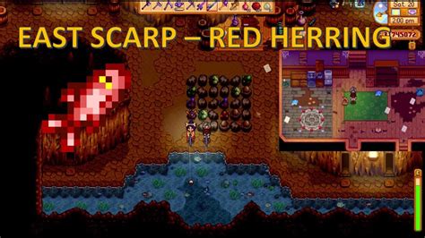 Stardew Valley 1.6 East Scarp - Smuggler's Cave and Red Herring Fish ...