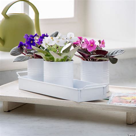 10 3/4" x 3 1/2" White Metal Buckets in Storage Tray Set - 4 Pc ...