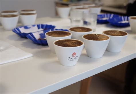 Image result for Cupping Tutorial