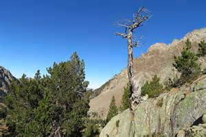 Volcanic eruptions may have triggered chain reaction that unleashed ...