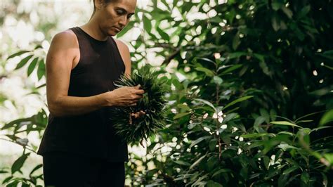 Hawaiian Culture 的图像结果