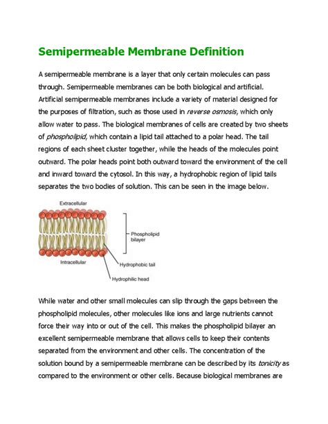 Semipermeable Membrane Definition - Semipermeable membranes can be both ...