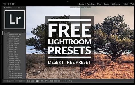 Presetpro | Free Lightroom Preset Desert Tree
