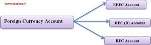 Types of Foreign Currency Account opened by Resident Individuals