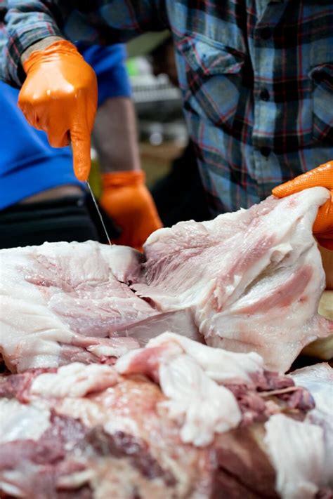 Image result for Loading Pigs for Processing