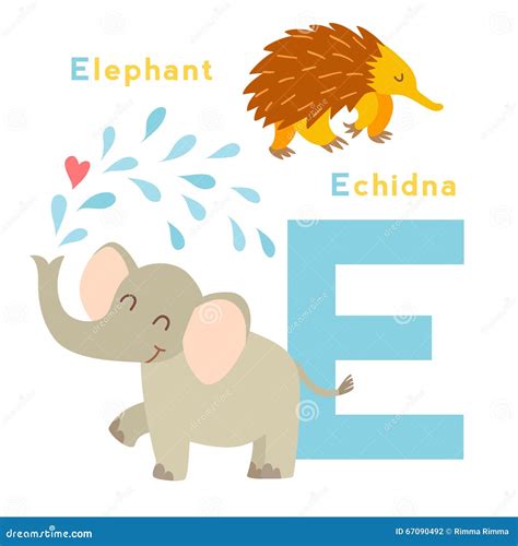 E Letter Animals Set. English Alphabet Stock Vector - Illustration of ...