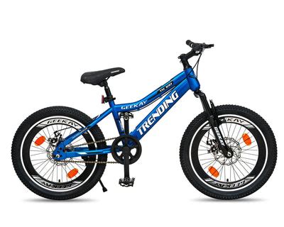 Buy 20 Inch Cycle Online at Best Prices