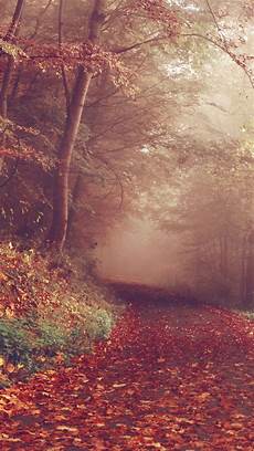 Pretty Fall Wallpaper Iphone 7 by 8 Free Autumn Inspired Iphone 7 Plus Wallpapers Preppy Pretty Fall Wallpaper Iphone 7