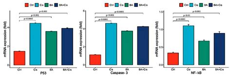 Inhibition of Retinoblastoma Cell Growth by Boswellic Acid Through ...