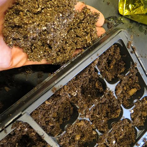 The Rusted Vegetable Garden