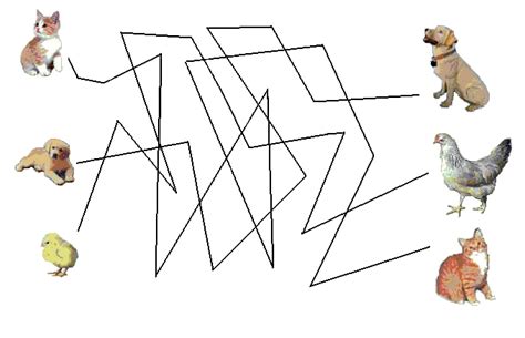 Image result for Visual Tracking