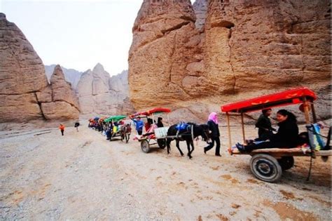 走西口最新素材