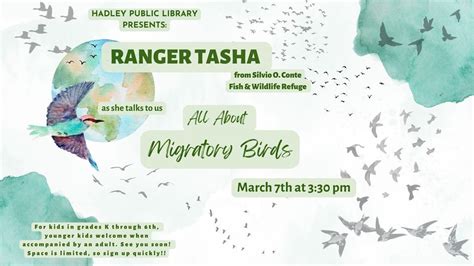 Ranger Tasha: All About Migratory Birds, 50 Middle St (Corner of Rt 47 ...