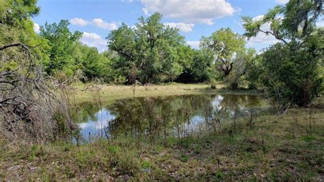 Manatee County may name Myakka park after late commissioner | Bradenton ...