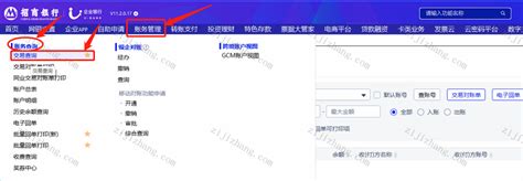 如何导出东莞农村商业银行电子回单(PDF文件) - 自记账