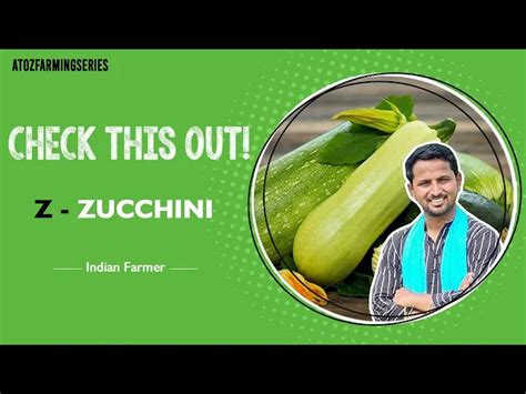 खीरे का भाई Zucchini | AtoZ farming series | Indian Farmer |#shorts