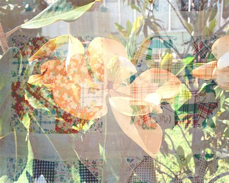 What Is Meant By Blanket Statement at Stephan Groff blog