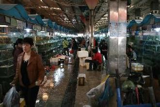 2023阿兴生鱼片美食餐厅,晚上选择了去后壁湖海鲜市场...【去哪儿攻略】