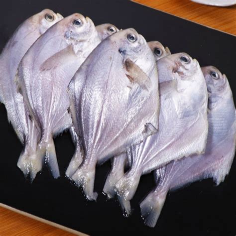 Pomfret (small) - 500 gram | Raw Fish | Oi Food Siliguri