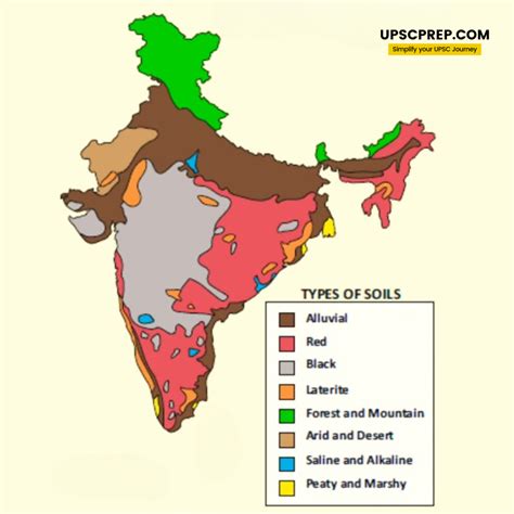Mountain Soil Composition