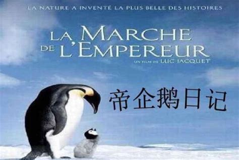 帝企鹅日记 March of the Penguins 2005 Blu ray 720p x264 DualAudio DTS HiS ...