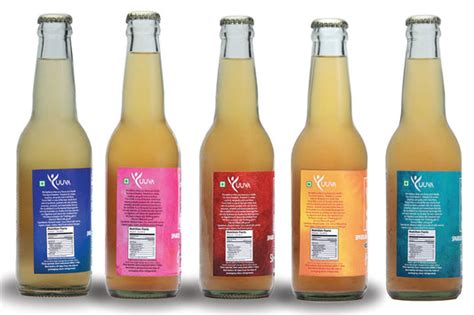 Water Kefir – Indian Kefir Company