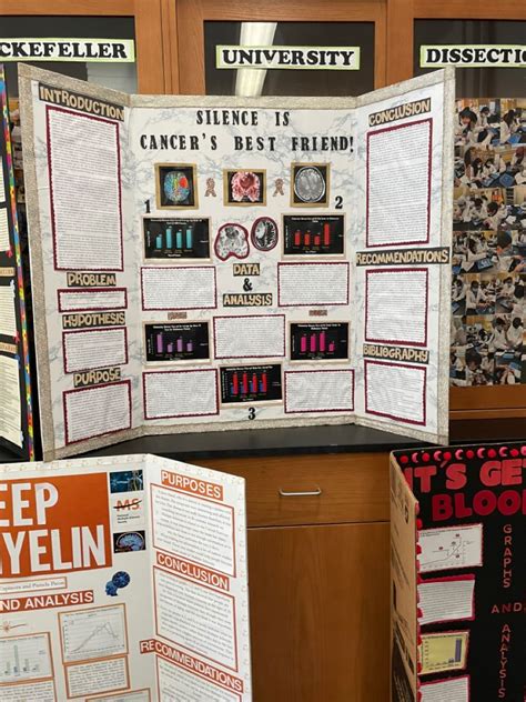 Image result for Example of Science Fair Project