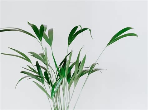 McGuinness Funeral Home | Woodbury, New Jersey | Ever Loved