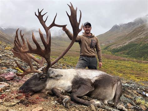 2026 Ak Governors SC827 Alaska Range Caribou Permits Hunt Raffle | SCI ...