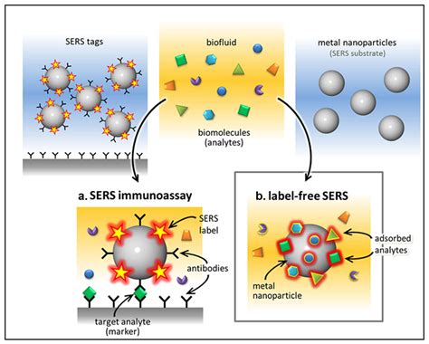 Enhancing Disease Diagnosis: Biomedical Applications of Surface ...