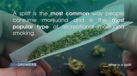 What is a Spliff & How to Roll a Spliff? | AskGrowers