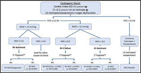 Image result for Cardiogenic Shock Algorithm