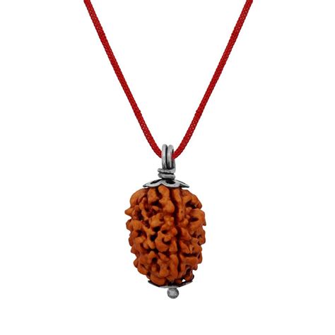 Buy MTC Globals 3 Mukhi/Faced Haridwar Rudraksha with Silver Coated ...