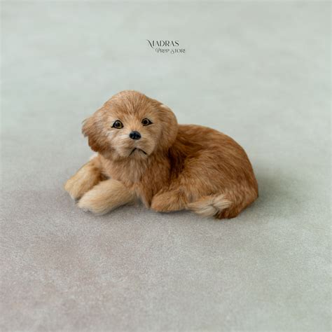 Boho Theme | Madras Prop Store