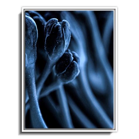 Leaf VII – Calcuttan