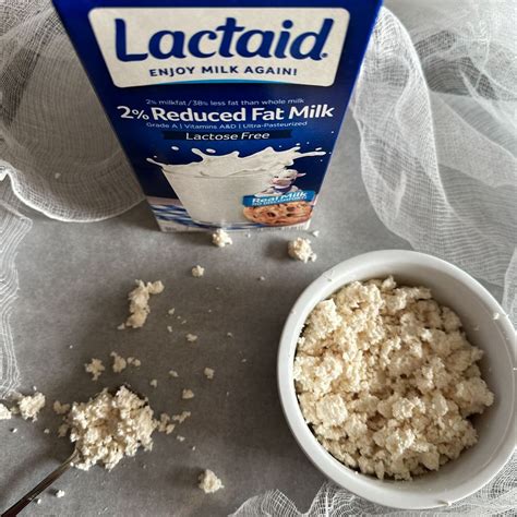 Cottage Cheese Does It Contain Lactose