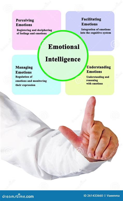 Components of Emotional Intelligence Stock Photo - Image of reasoning, concept: 261433660