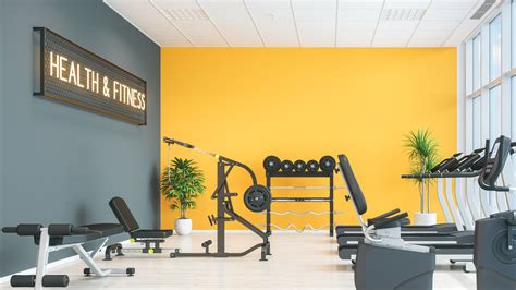 Gym Wall Design 的图像结果