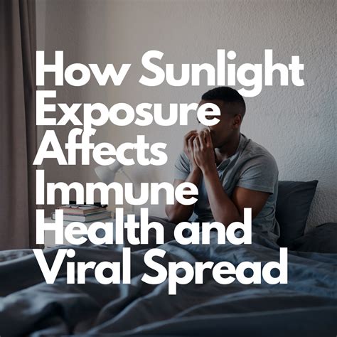 How Sunlight Exposure Affects Immune Health and Viral Spread ...