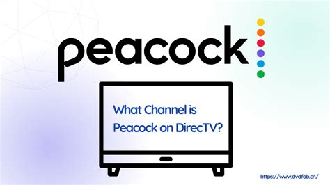 What Channel is Peacock on Directv? - DiscoveryCentre