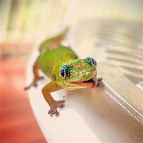 Bryce Eilenberg (@bryceephotos) • Instagram photos and videos