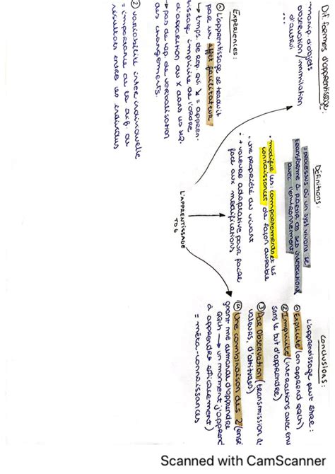 TD 6 S2 Cognitif - td de psycho cognitive - Psychologie cognitive - Studocu