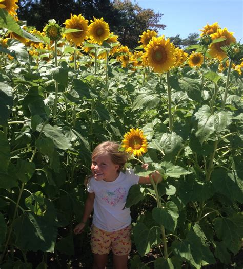 Urban Air Waiver Form Printable - Printable New Year Banners