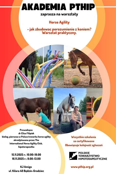 Warsztaty: "Horse Agility- jak zbudować porozumienie z koniem? Warsztat ...