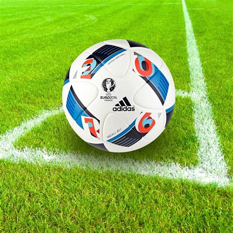 Ball Python Life Expectancy 的图像结果