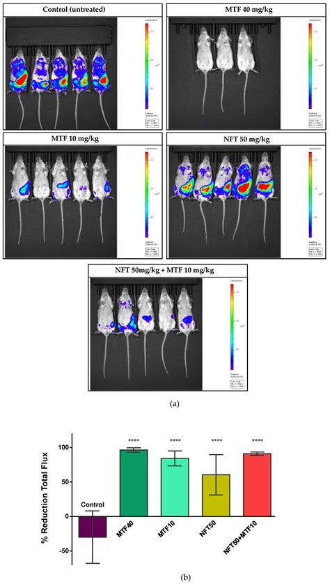 Miltefosine and Nifuratel Combination: A Promising Therapy for the ...