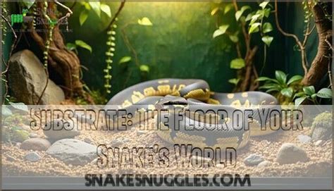 Image result for Ball Python Enclosure Setup