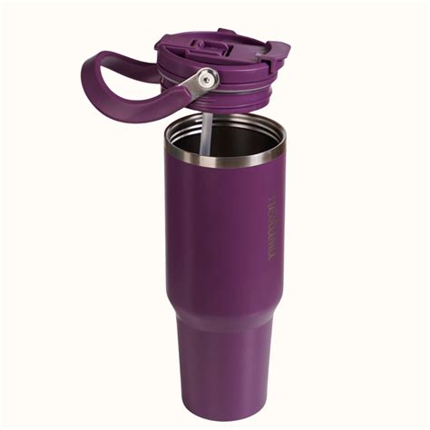 PickSip 40 Insulated Tumbler Bottle With Top Handle Plum Party Mauve ...