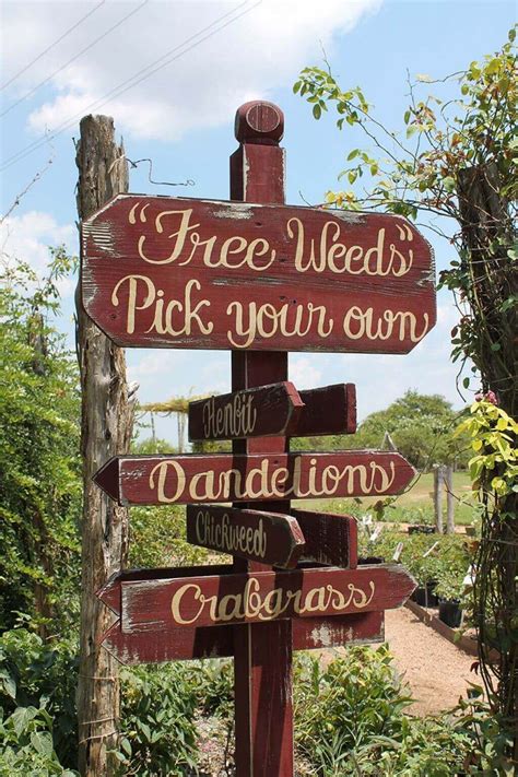 37+ Creative & Funny Garden Sign Ideas For 2024 | Funny garden signs ...